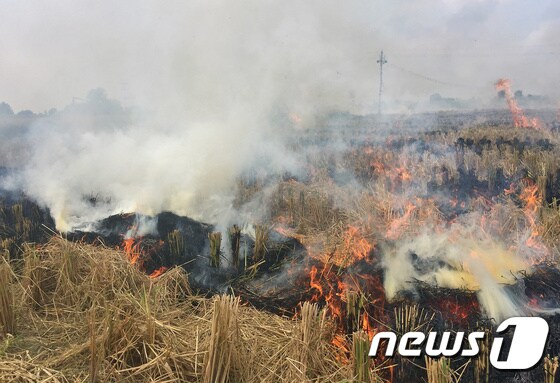 인도의 농촌에서 추수 잔여물 쓰레기를 태우고 있다. © 로이터=뉴스1