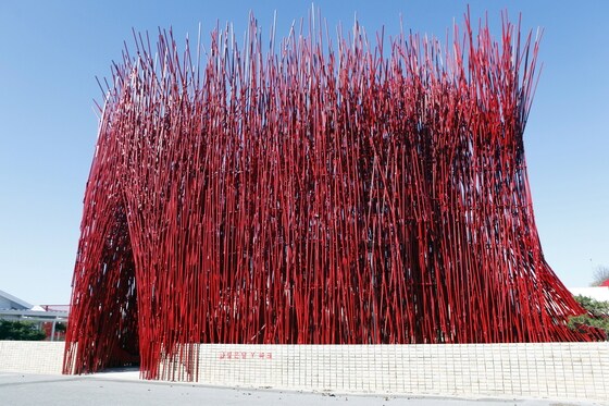 젊은달와이파크의 강렬한 첫인상 '붉은대나무'