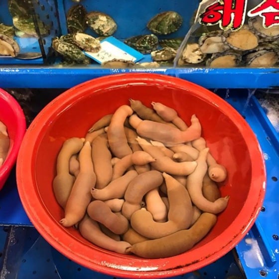 한국 수산시장에서 팔고 있는 개불 - BBC 갈무리