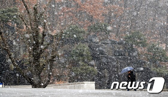 주말 충북지역은 최고 20cm의 많은 눈이 내릴 것으로 예보됐다. 눈 내리는 충북 청주대학교 캠퍼스에 시민들이 발걸음을 옮기고 있다. 2019.12.26/뉴스1 © News1 김용빈 기자