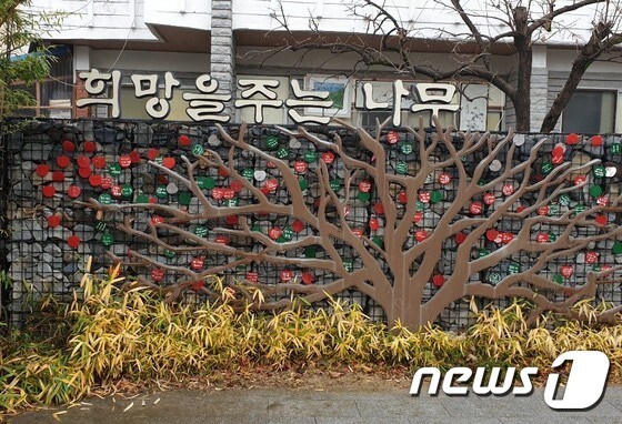 전북 전주시 노송동주민센터 뒤 '희망을 주는 나무'  /© News1 김춘상 기자
