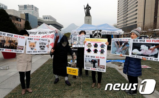 한국동물보호연합 '모피 반대'