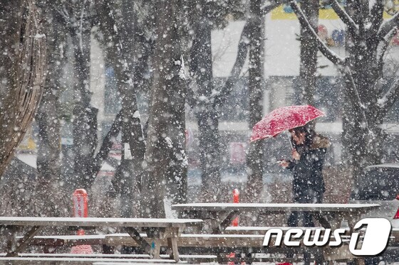 정월대보름이자 절기상 우수(雨水)인 19일 오전 서울 도심에서 한 시민이 함박눈을 맞으며 공원을 거닐고 있다. 2019.2.19/뉴스1 © News1 유승관 기자