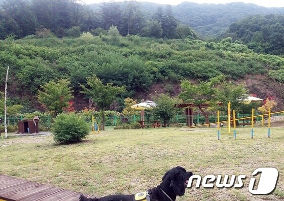 덕평휴게소 '달려라코코' 전경. © 뉴스1