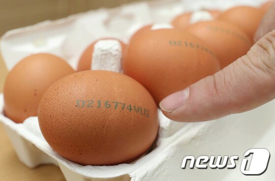 오는 23일부터 달걀 껍데가(난각) 산란일자 표시제도가 시행된다. 산란일자는 4자리 숫자로 맨 앞에 표시된다.© News1 이광호 기자
