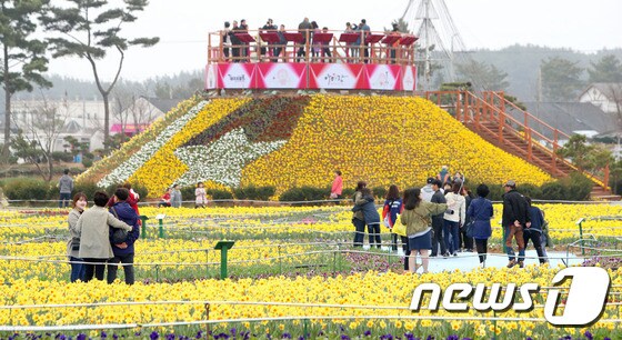 지난해 네이처월드 수선화 축제© 뉴스1