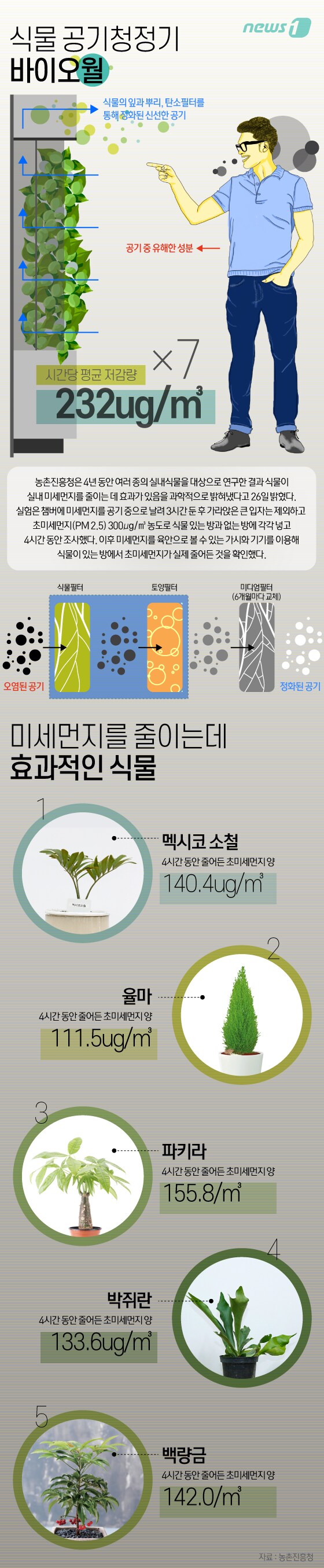[그래픽뉴스] 거실에 화분 3~5개면 초미세먼지 20% 줄어