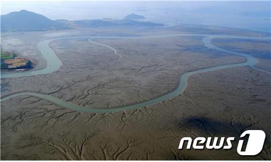 신안 갯벌 습지보호지역(해양수산부 제공)© 뉴스1