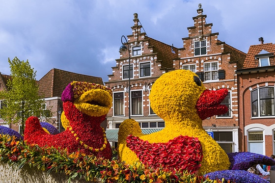 네덜란드 큐켄호프 튤립 축제