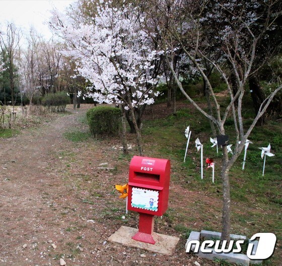 지난 12일 로이킴숲의 모습 © News1 황덕현 기자
