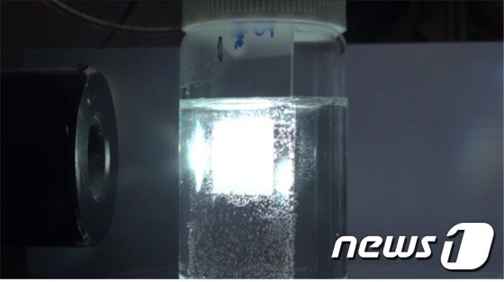 물과 메탄올을 섞은 반응물에 개발된 '단원자 구리/이산화티타늄 촉매'를 넣고 빛을 가하면 수소가 생성된다. 사진 속 기포는 수소가 활발히 생성되고 있음을 보여준다.(IBS 제공)© 뉴스1