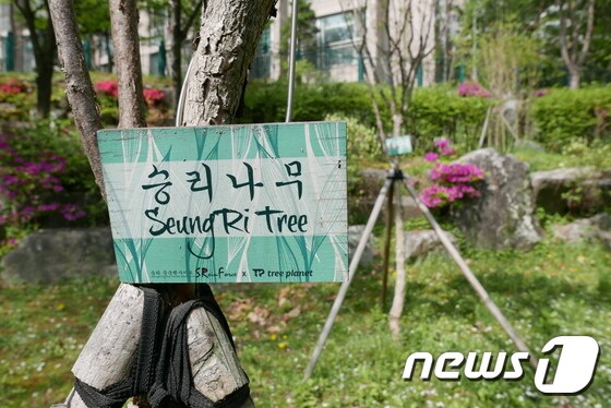 '로이킴숲', '박유천 벚꽃길' 등 사회적 물의의 중심에 있는 연예인의 이름을 사용한 시설에 지방자치단체(지자체)들이 골머리를 앓고 있는 가운데 22일 서울 강남구 역삼동의 한 근린공원에 '승리숲'의 '승리나무'를 표시하는 나무 표식이 설치돼 있다. 2019.4.23/뉴스1 © News1 황덕현 기자