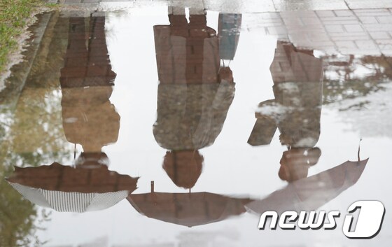 봄비가 내린 25일 오후 대전 시청 앞에서 우산을 쓴 시민들이 걸어가고 있다. 2019.4.25/뉴스1 © News1 주기철 기자