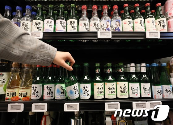 술이 진열돼 있다 /뉴스1 © News1 허경 기자