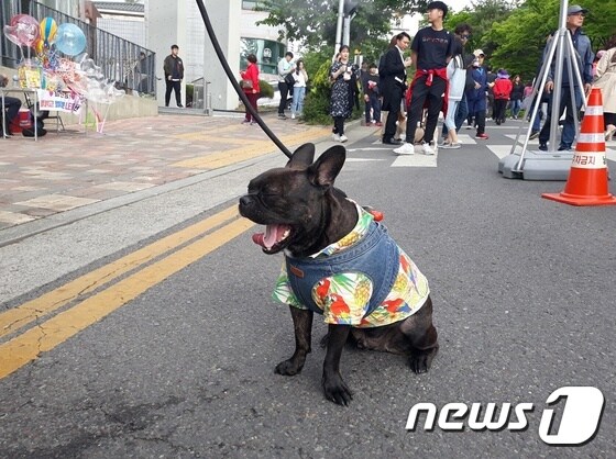 대구 반려동물 축제 '투개더'가 지난 28일 열렸다. © 뉴스1 최서윤 기자
