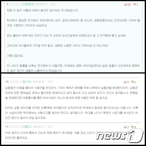 서울대학교 학생들의 커뮤니티 사이트 캡처© 뉴스1