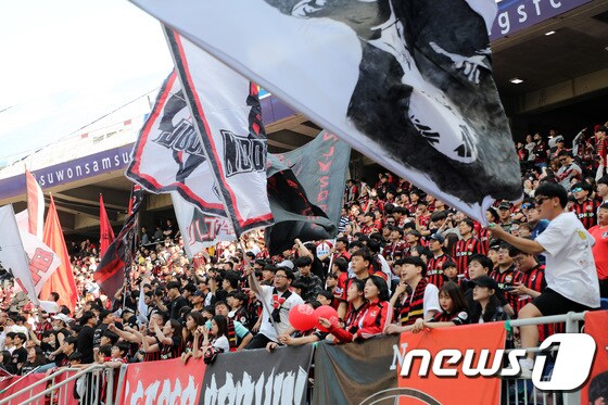 FC서울 팬들이 열띤 응원을 하고 있다./뉴스1 © News1 조태형 기자