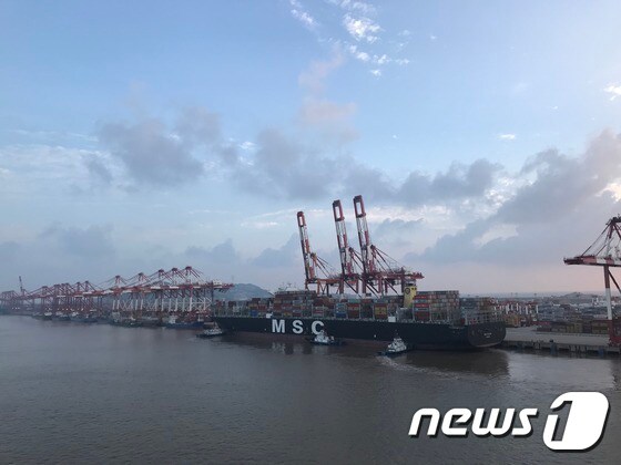 6월23일 중국 상해 양산터미널에 접안 중인 MSC 선사 소속 선박. © 뉴스1 조재현 기자