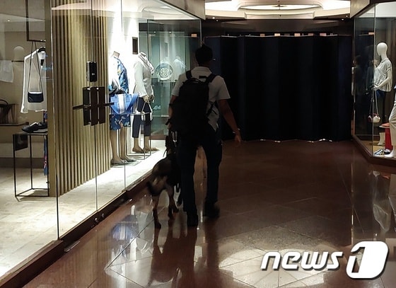 30일 그랜드하얏트서울 호텔에서 정찰 중인 저먼 셰퍼드 품종의 개. © 뉴스1