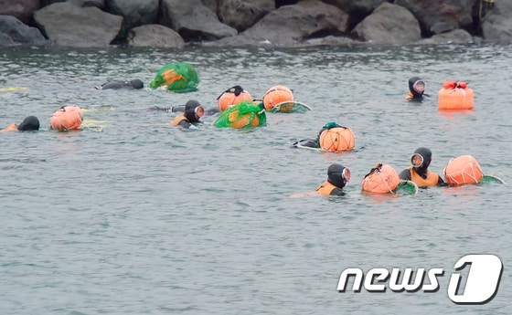 지난 7월11일 제주시 이호동 해안에서 해녀들이 해산물을 채취하고 있다. 2019.7.11 /뉴스1 © News1 