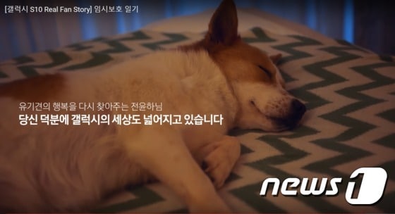 삼성 갤럭시 S10 '임시보호 일기' 편 광고 영상 캡처 © 뉴스1