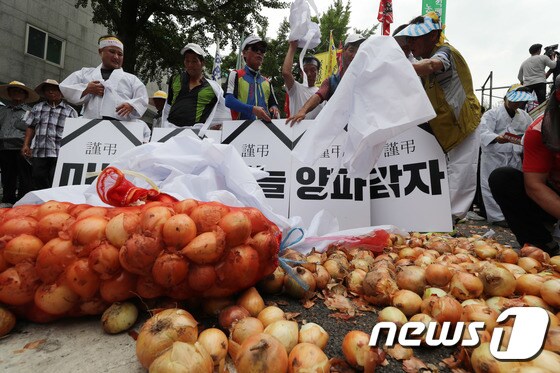 청와대 앞에서 양파에 상복 덮는 농민들