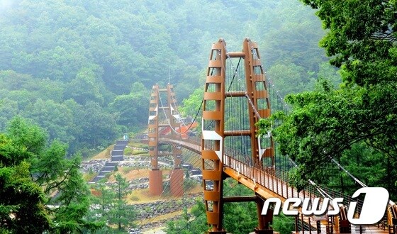 증평 좌구산 휴양랜드 명상 구름다리.© 뉴스1