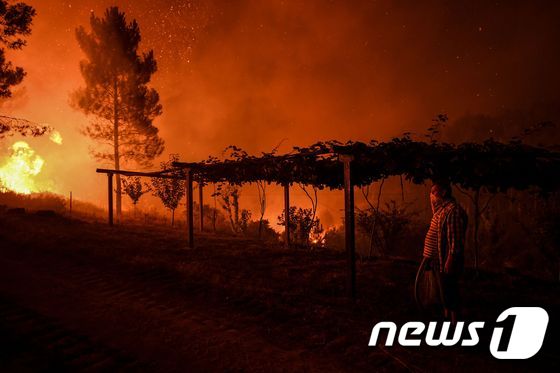 [사진] 주택가로 접근하는 포르투갈 산불