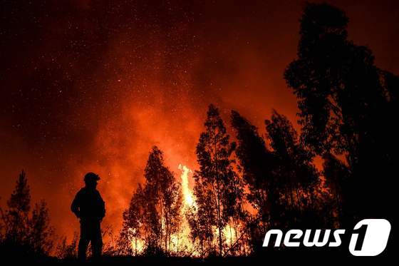 [사진] 포르투갈 산불로 20여명 부상당해