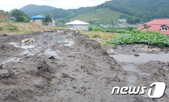 진천군 진천읍 지암리 한 축사에서 배출된 축산분뇨.© 뉴스1