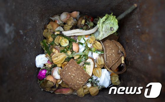 독일 동부 드레스덴의 한 쓰레기통. 남은 음식물이 담겨있다. <자료사진> © AFP=뉴스1