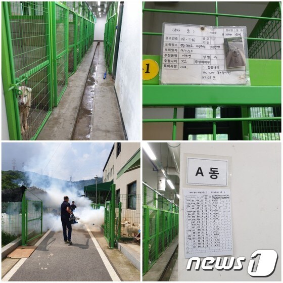 용인시에서 직영으로 운영중인 유기동물 보호소 © 뉴스1 김연수 기자