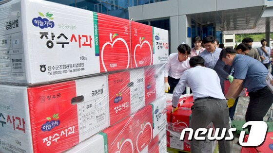 23일 전북 장수군청 공무원들이 가격 하락으로 어려움을 겪는 농가들을 위해 사과를 구입하고 있다.(장수군제공) 2019.9.23 /뉴스1 © News1 