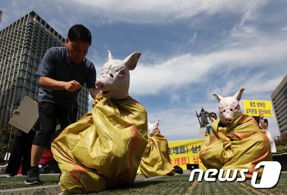 '아프리카돼지열병 생매장 살처분 중단' 퍼포먼스
