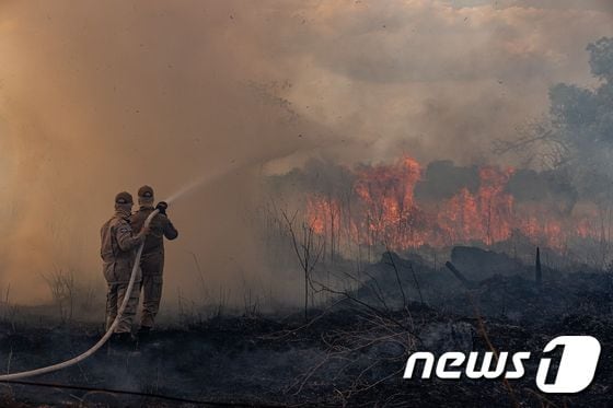 8월 한 달 동안 아마존 열대우림에서 산불이 발생해 축구 경기장 420만 개 크기의 면적이 불에 탄 것으로 집계됐다.© AFP=뉴스1