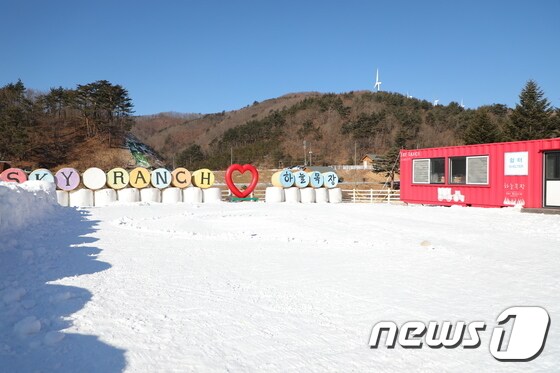 22일 강원도 평창군 대관령면에 자리한 하늘목장의 풍경.2020.1.22/뉴스1 © News1 권혜민 기자
