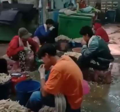 태국의 닭가공 공장 근로자들이 입으로 생닭을 다듬고 있다. <페이스북  동영상 캡처> 