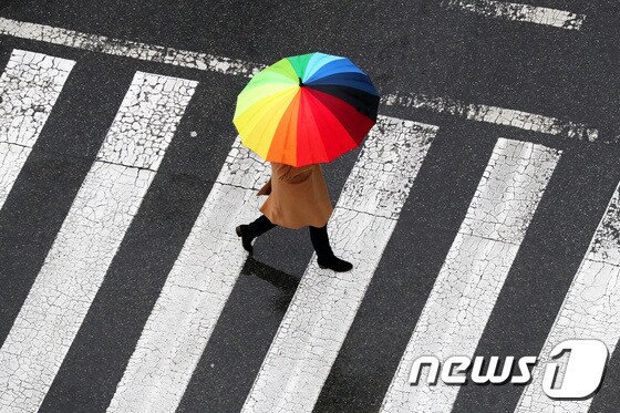 31일 충북·세종지역은 기압골 영향으로 10~50㎜가량 비가 내리겠다. (사진은 기사 내용과 무관함) / 뉴스1 © News1