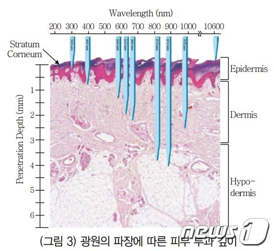 (자료= 전자통신동향분석 제25권 제5호 '피부질환 치료용 LED 치료기') © 뉴스1
