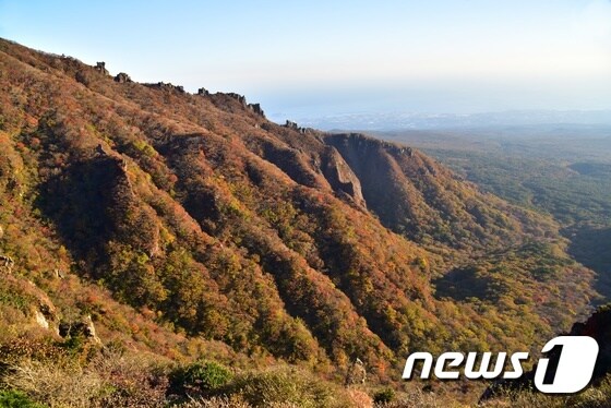 완연한 가을 날씨를 보인 15일 하늘로 솟은 한라산 영실 기암절벽이 단풍으로 물들었다. (한라산국립공원 제공).2020.10/5/뉴스1 © News1 강승남 기자