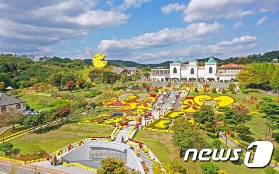 임실치즈테마파크와 치즈마을 일대 드넒은 대지에 가을의 전령사인 국화꽃이 활짝 피어있다.(임실군 제공)2020.10.16 /© 뉴스1