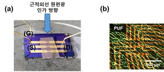 (a)연구진이 개발한 소자의 모습, (b)카이랄 액정 네트워크 필름을 갖는 물리적 복제 방지 기능 부위의 편광 광학 현미(POM) 사진 (한국과학기술연구원 제공) 2020.10.20/뉴스1