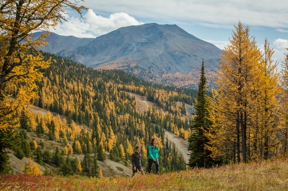 가을의 밴프 국립공원. 이하 캐나다관광청 제공