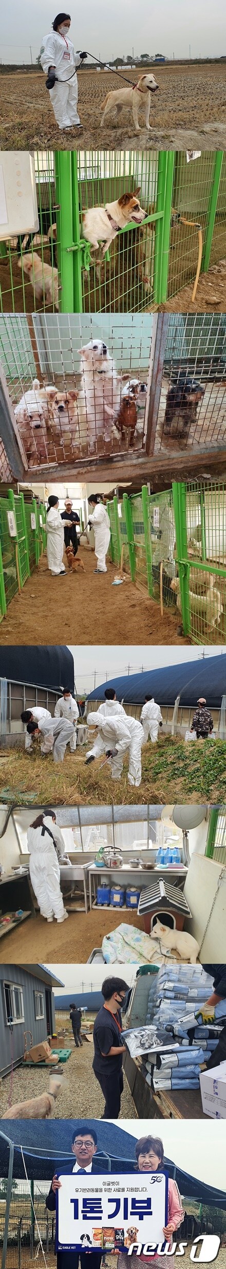 이글벳은 21일 경기 김포시 한 사설 동물보호소에서 봉사활동을 진행했다. © 뉴스1 최서윤 기자