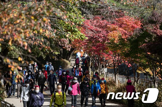 주말 '가을산으로 향하는 시민들'
