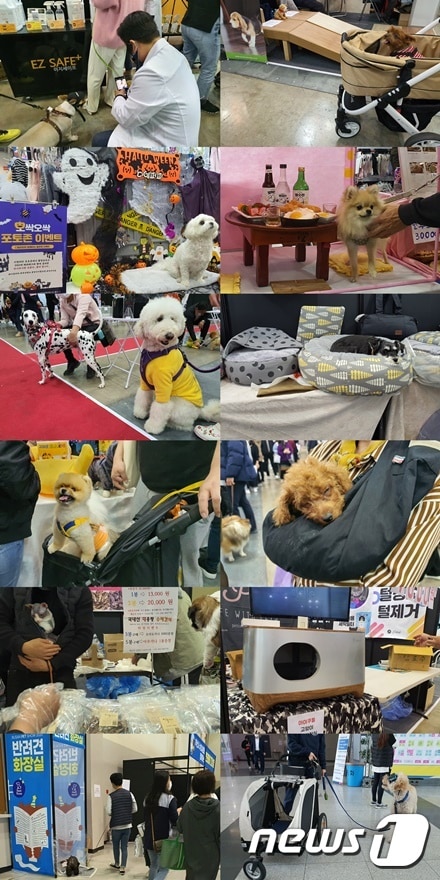25일 부산 벡스코에서는 반려동물 박람회인 부산펫쇼가 열렸다. © 뉴스1 최서윤 기자