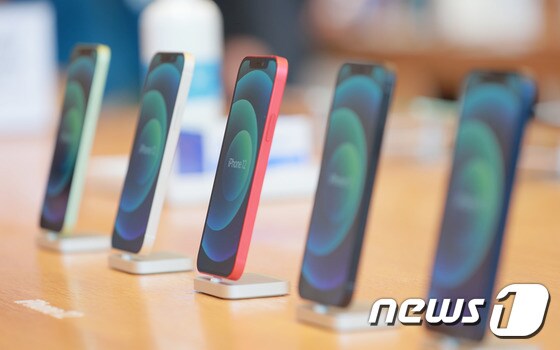 애플의 첫 5G 스마트폰 아이폰12 시리즈가 서울 강남구 '애플스토어 가로수길'에 전시돼 있다. 2020.10.30/뉴스1 © News1 김진환 기자