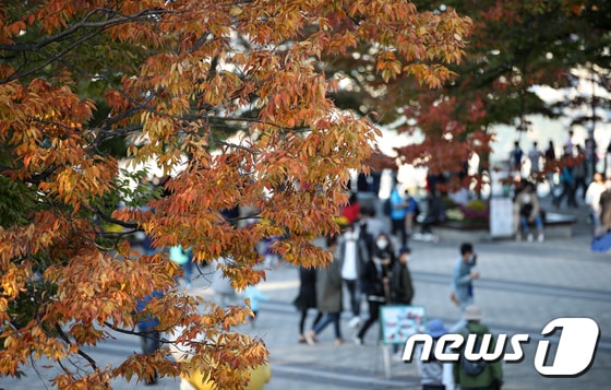 완연한 가을 날씨를 보인 9일 서울 남산에 나뭇잎이 붉게 물들어 있다. 2020.10.9/뉴스1 © News1 이승배 기자