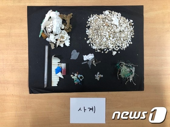 제주 해안에서 발견된 플라스틱 등 해양쓰레기(녹색연합 제공) ©뉴스1