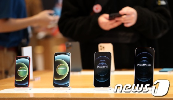 애플의 첫 5G 스마트폰인 아이폰12. 왼쪽부터 아이폰12 미니, 아이폰12, 아이폰12 프로, 아이폰12 프로 맥스다. © News1 박지혜 기자